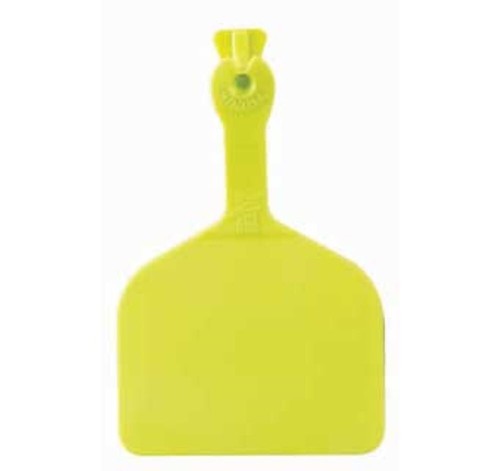 Feedlot ear tags for cattle - ear,